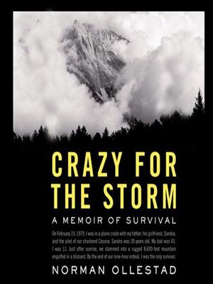 cover image of Crazy for the Storm